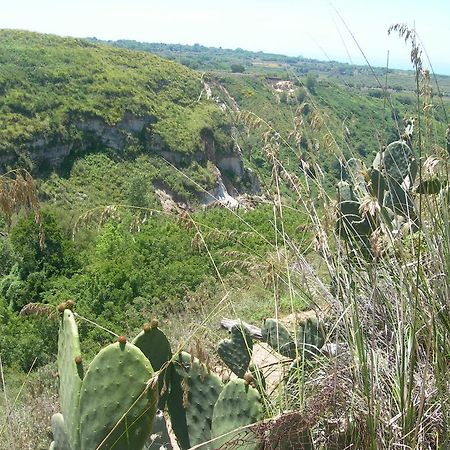 Azienda Agrituristica Carida Zaccanopoli Екстериор снимка