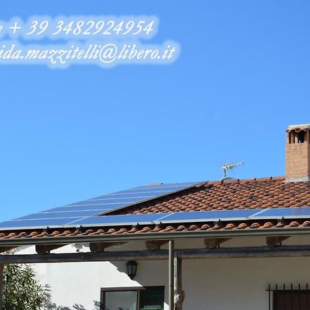 Azienda Agrituristica Carida Zaccanopoli Екстериор снимка