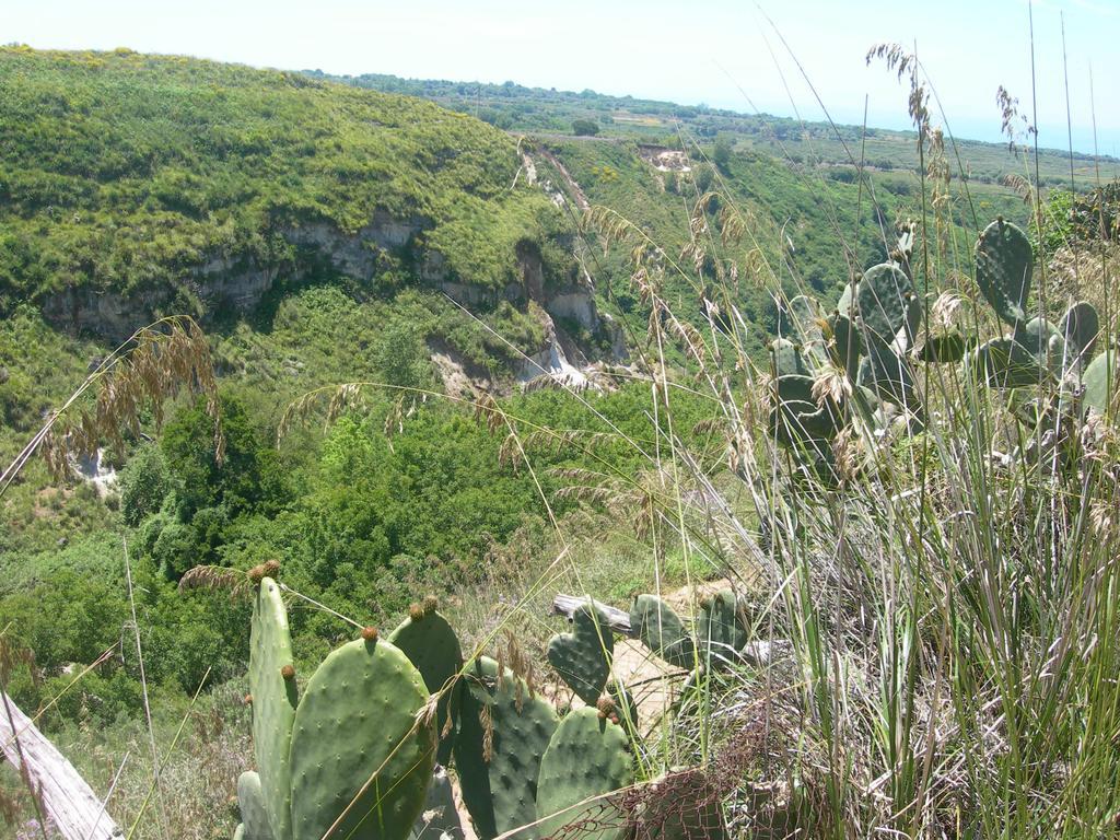 Azienda Agrituristica Carida Zaccanopoli Екстериор снимка